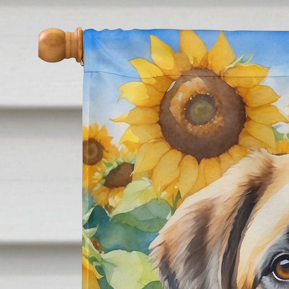 Anatolian Shepherd in Sunflowers House Flag-2