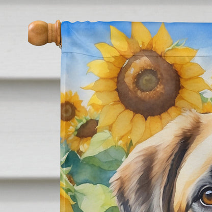 Anatolian Shepherd in Sunflowers House Flag-2