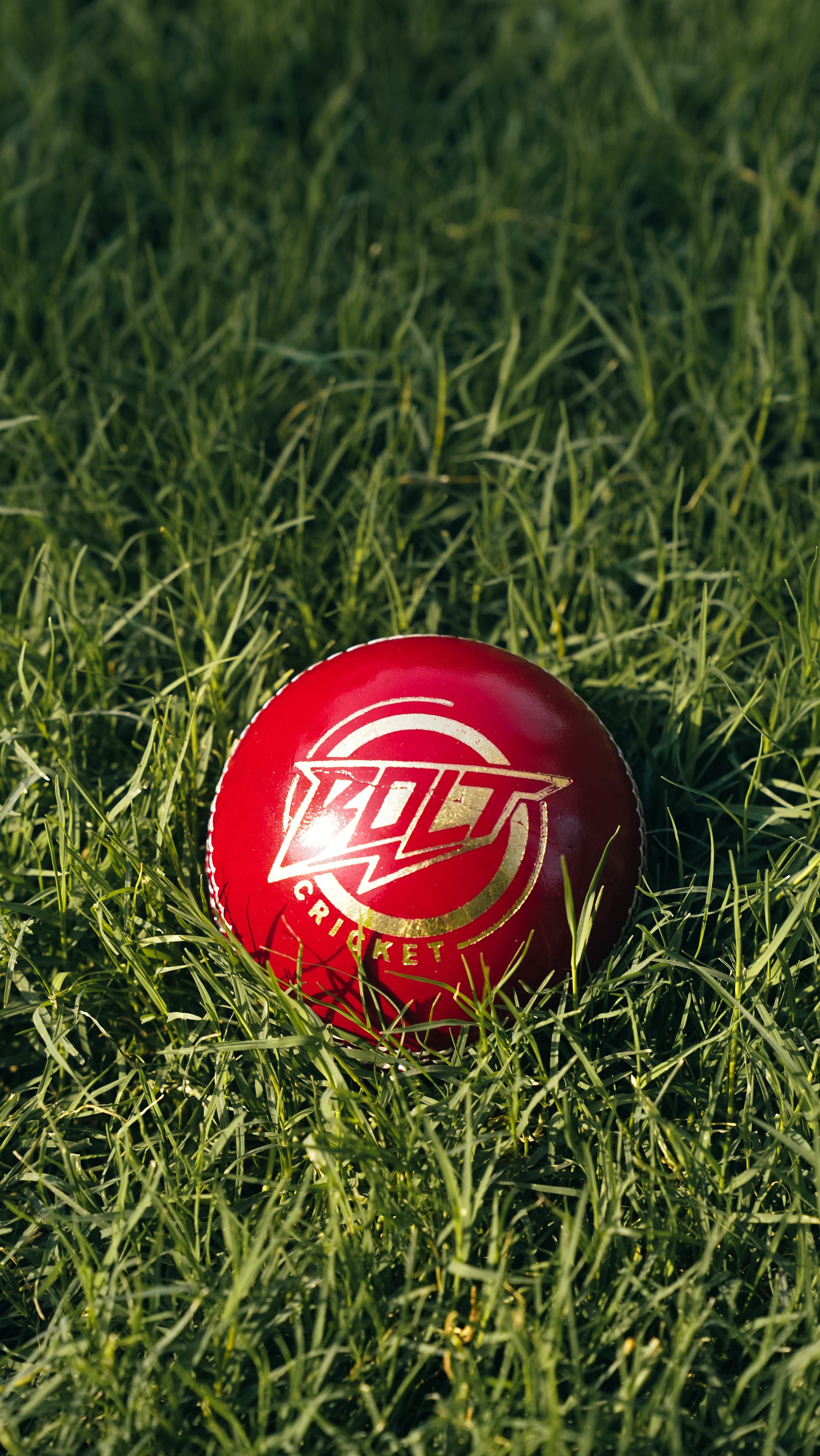 Bolt Enduro Leather Ball - Machine Stitched - 6 Pack-2