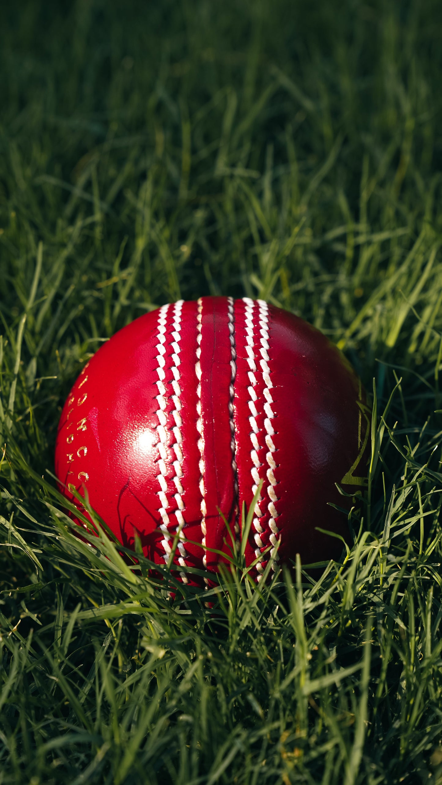 Bolt Striker Leather Ball - Hand Stitched - 6 Pack-1