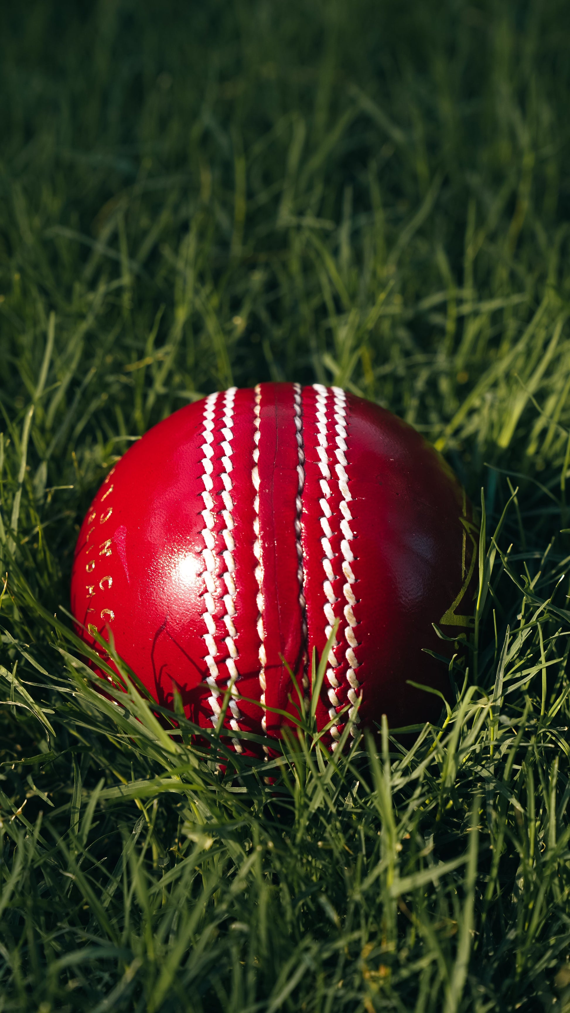 Bolt Striker Leather Ball - Hand Stitched - 6 Pack-1