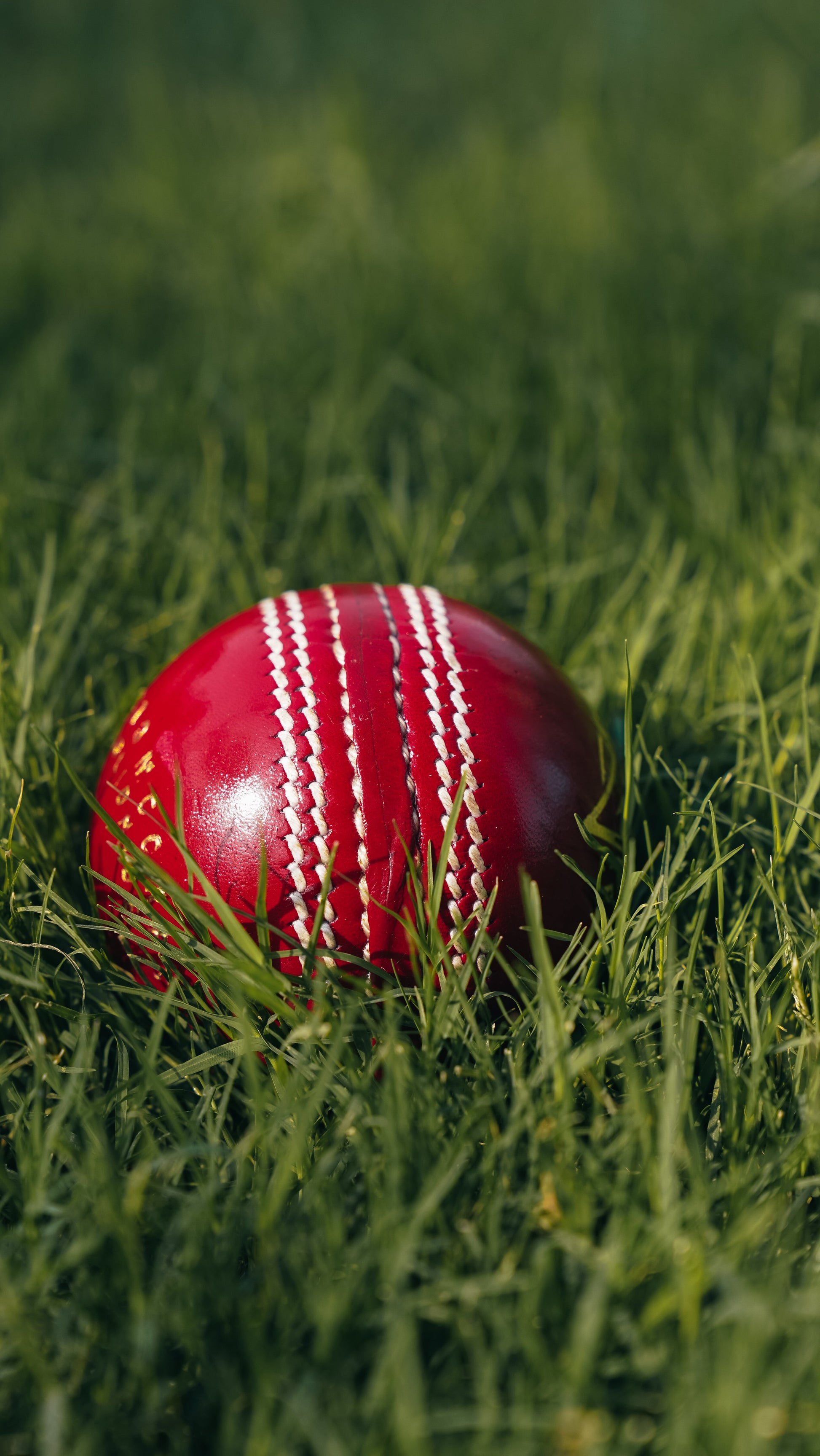 Bolt Enduro Leather Ball - Machine Stitched - 6 Pack-0