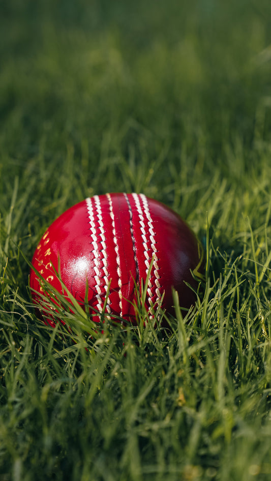 Bolt Enduro Leather Ball - Machine Stitched - 6 Pack-0