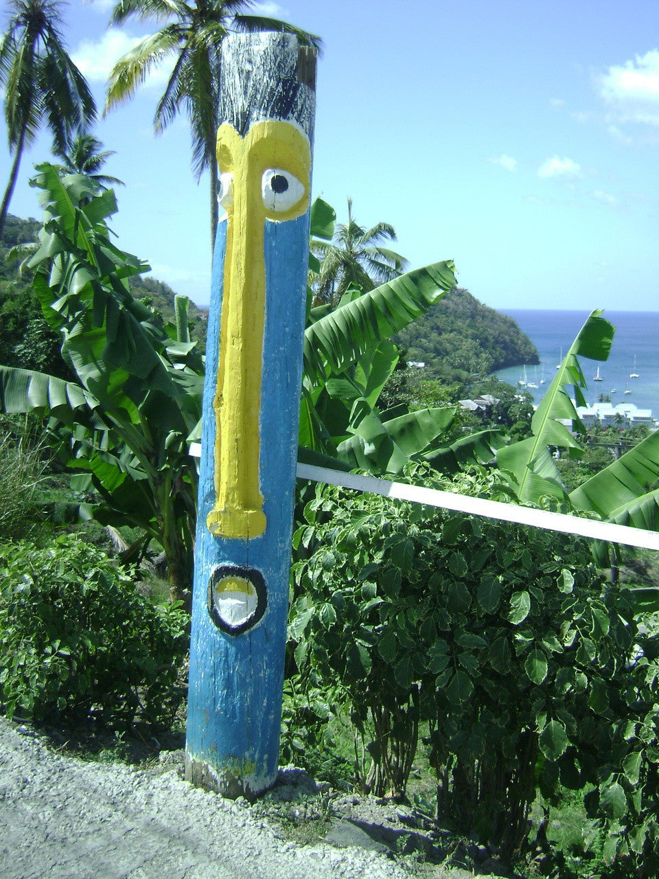 Funny Frog Pen from St Lucia-4