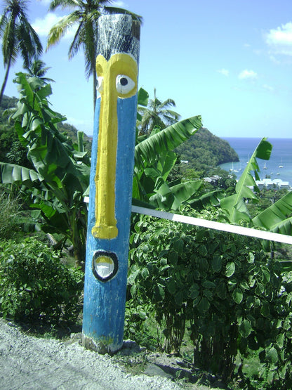 Funny Frog Pen from St Lucia-4