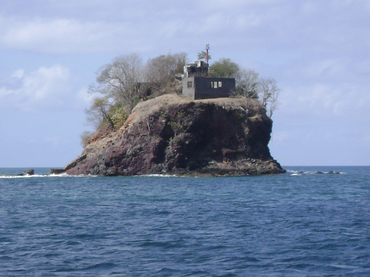 Funny Frog Pen from St Lucia-1