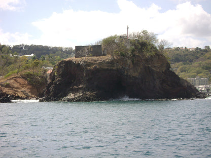 Funny Frog Pen from St Lucia-3