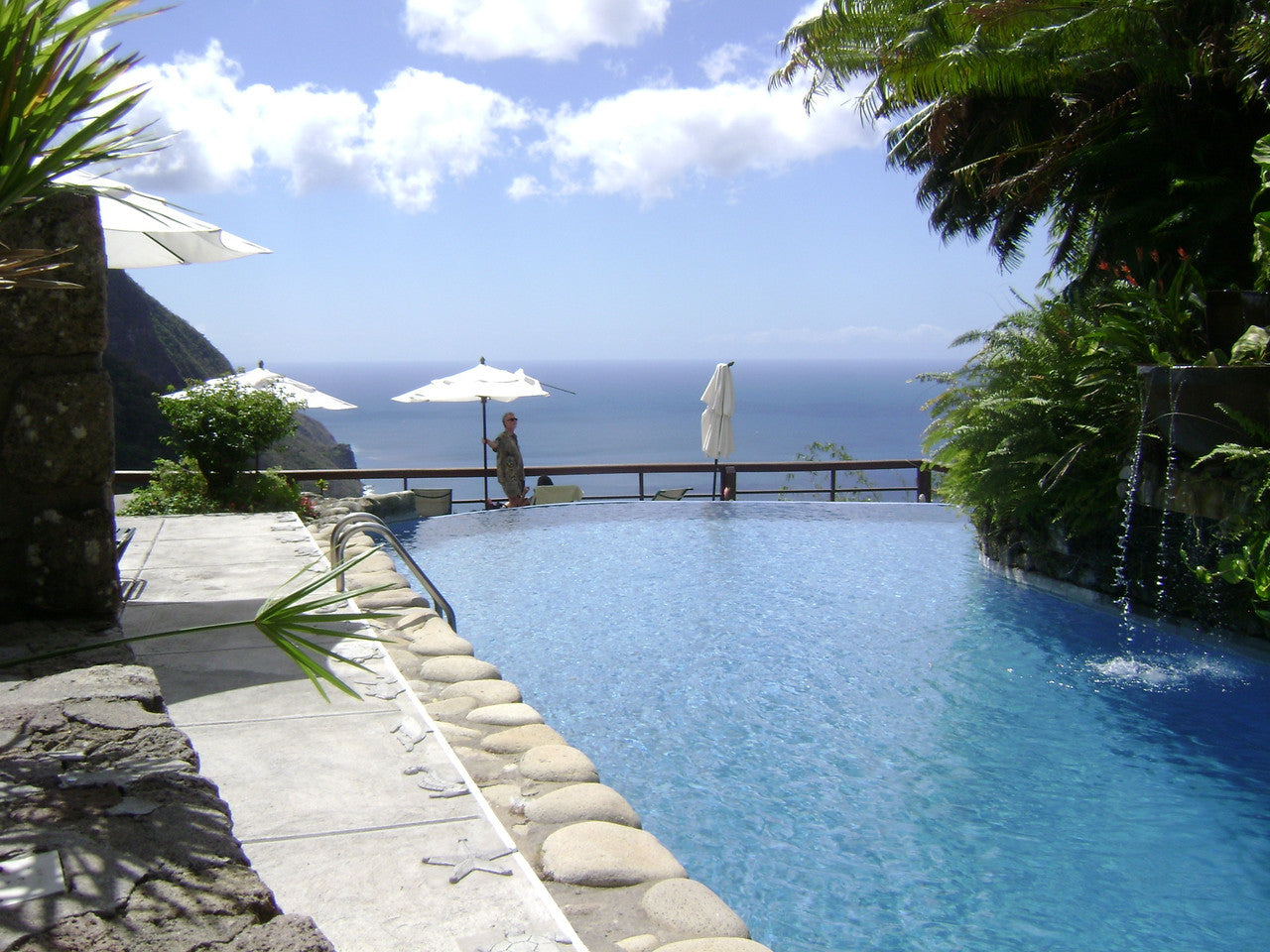 Funny Frog Pen from St Lucia-2