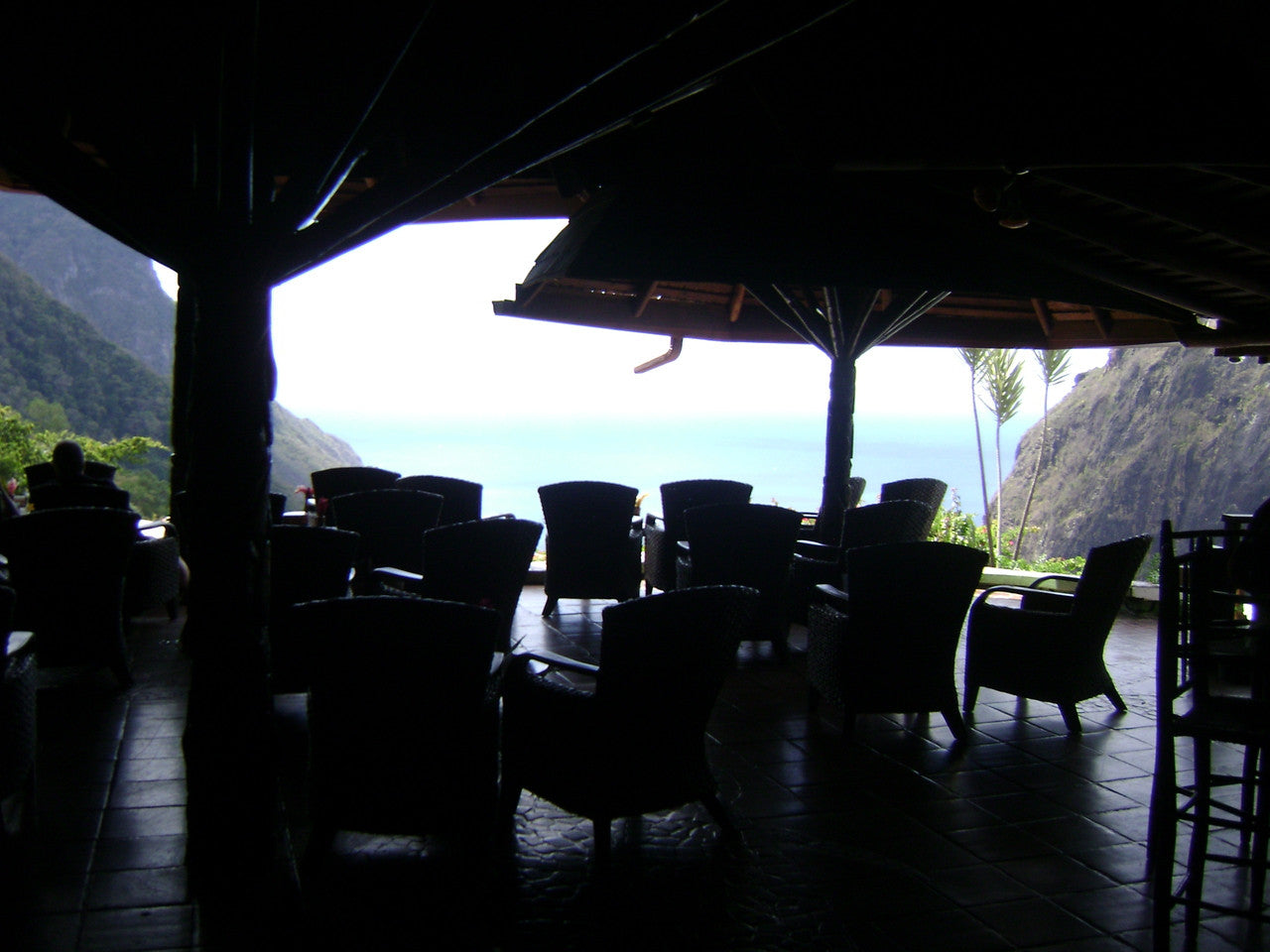 Funny Frog Pen from St Lucia-6