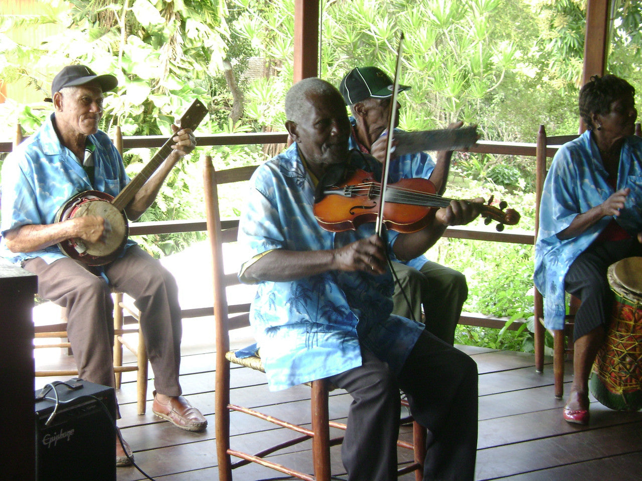 Funny Frog Pen from St Lucia-7