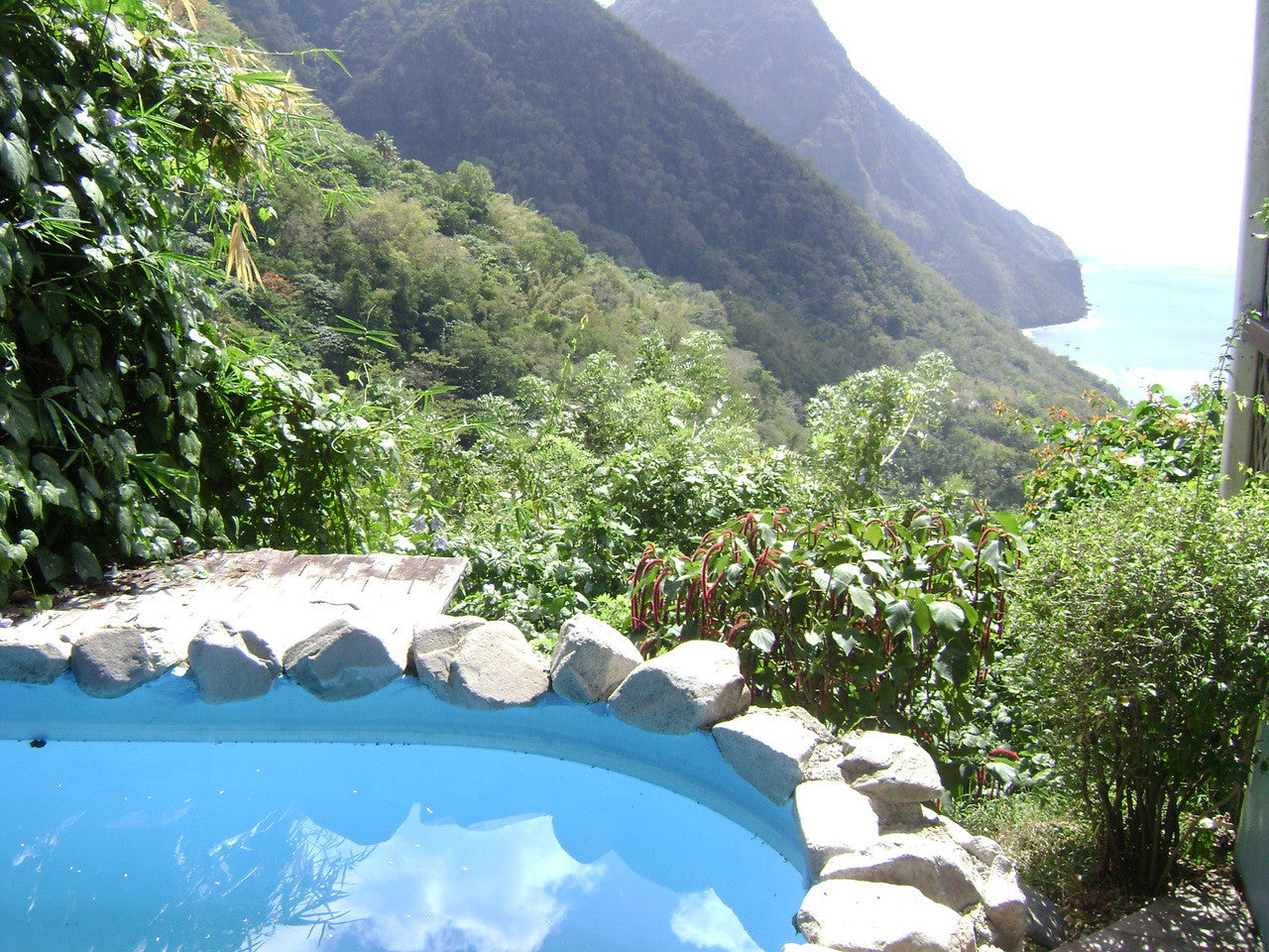 Funny Frog Pen from St Lucia-12