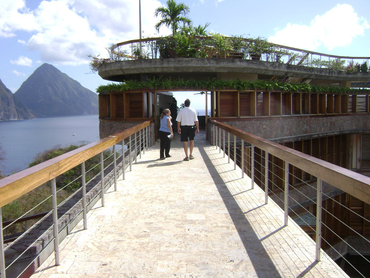 Funny Frog Pen from St Lucia-13