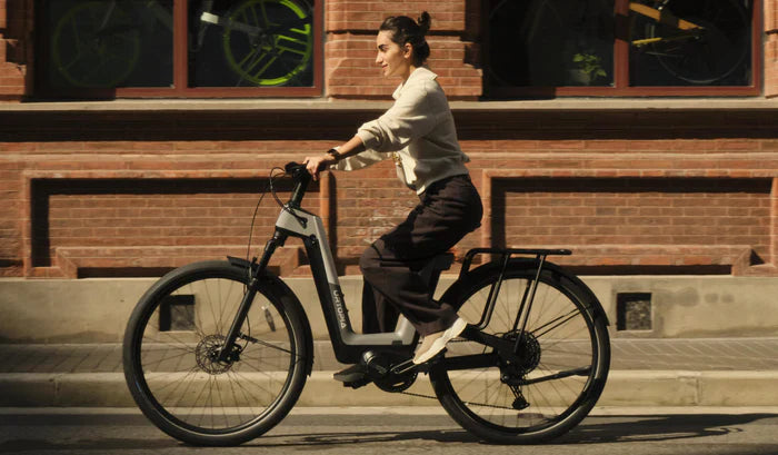 Gepäckträger Urtopia Fusion-1