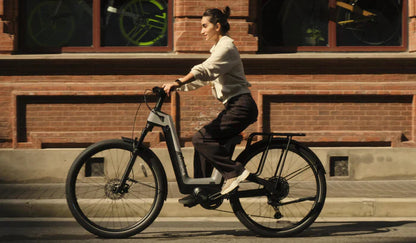 Gepäckträger Urtopia Fusion-1