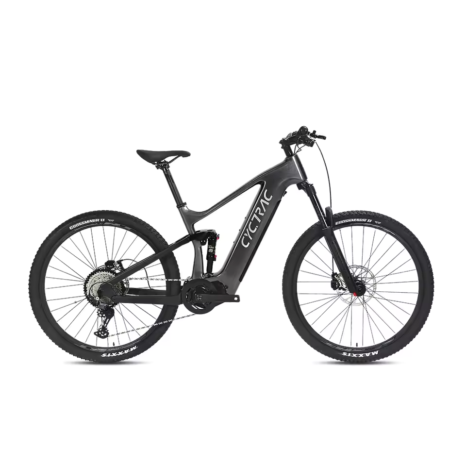 EM10 2025 - ELECTRIC ALLOY BIKE-1
