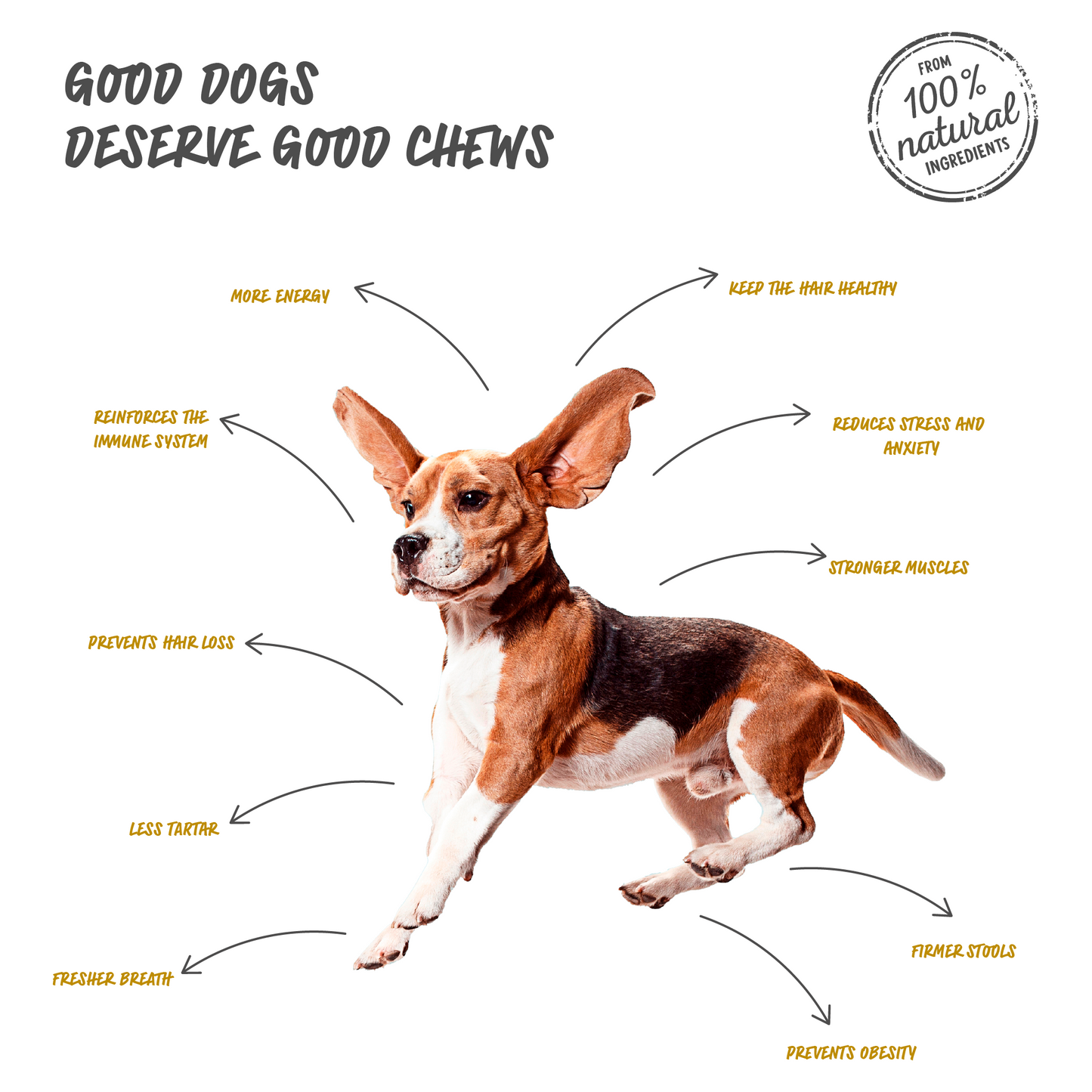 Dog Treats Cheese & Duck chew ( BOX )-1