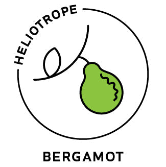 Essential Oil - Bergamot-0
