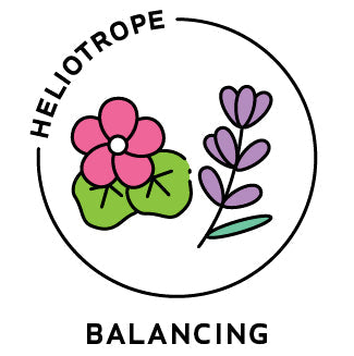 Essential Oil Blend Balancing (Rose Geranium Lavender)-0