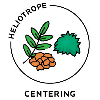 Essential Oil Blend Centering (Frankincense Moss)-0