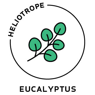 Essential Oil - Eucalyptus-0