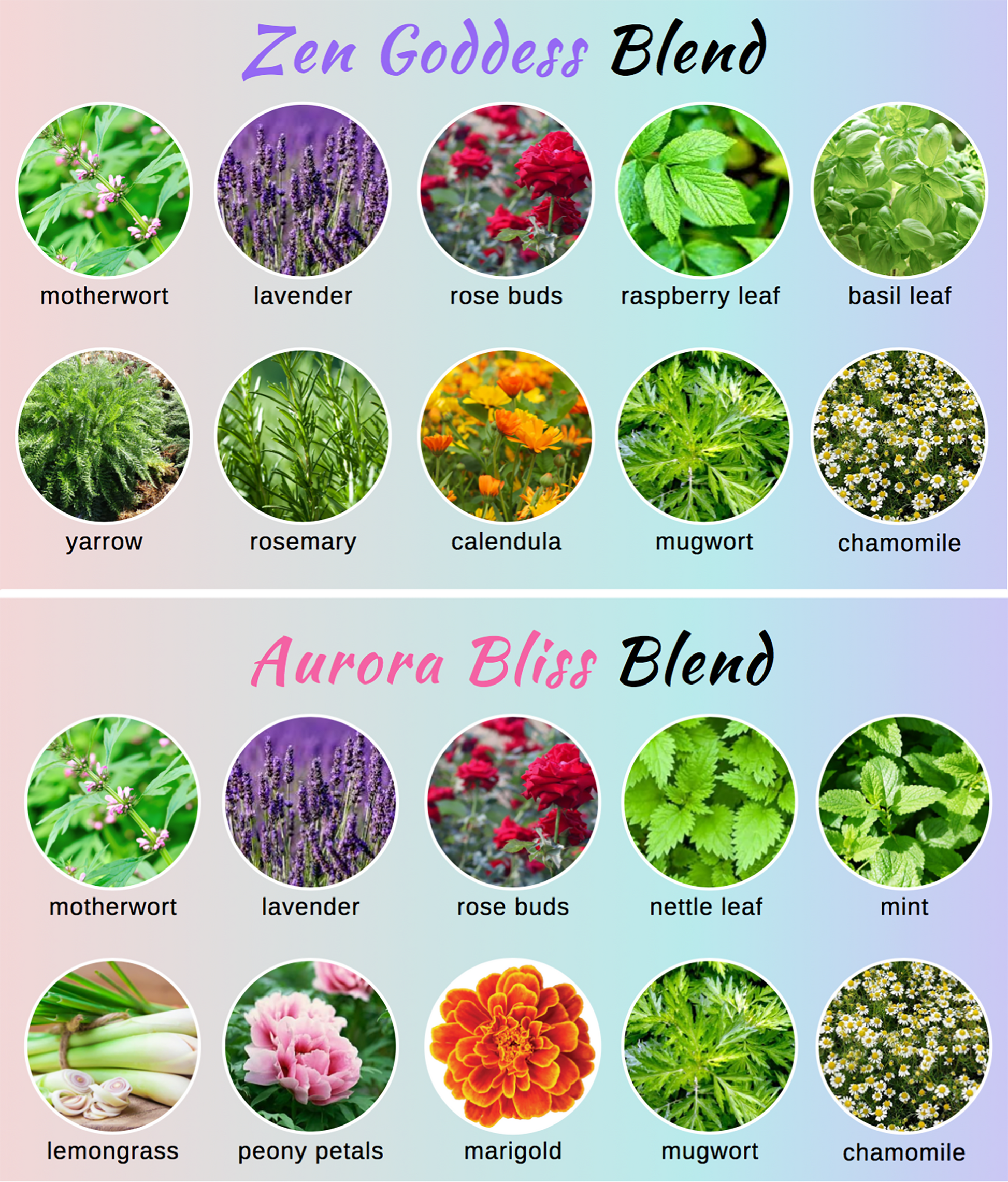 ExSoullent Organic Yoni  Steams-4