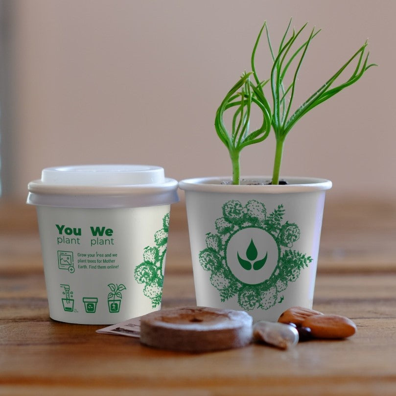 Forest Ambassador Tree Cup, We Plant 200 More Trees-0