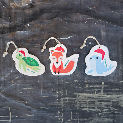 Holiday Turtle - Pop Up Sponge (Holiday Exclusive)-3