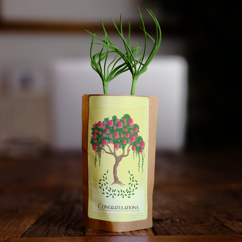 Congratulations Tree, We Plant 10 More Trees-0