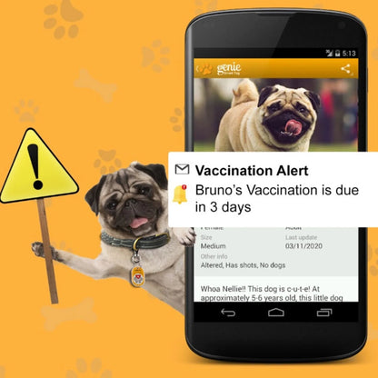 Genie Pet Tag Oval-4