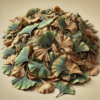 Ginkgo Leaves Whole (Ginkgo Biloba)-1