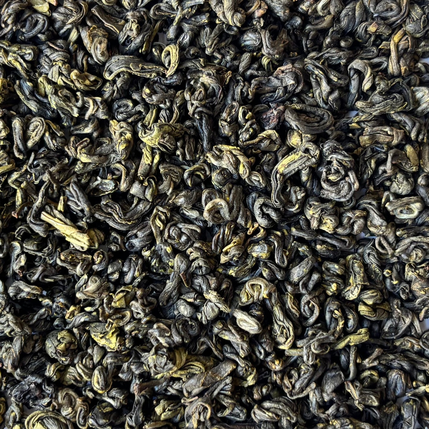 Himalayan Gunpowder Green (Green Pearl) | Wholesale-1