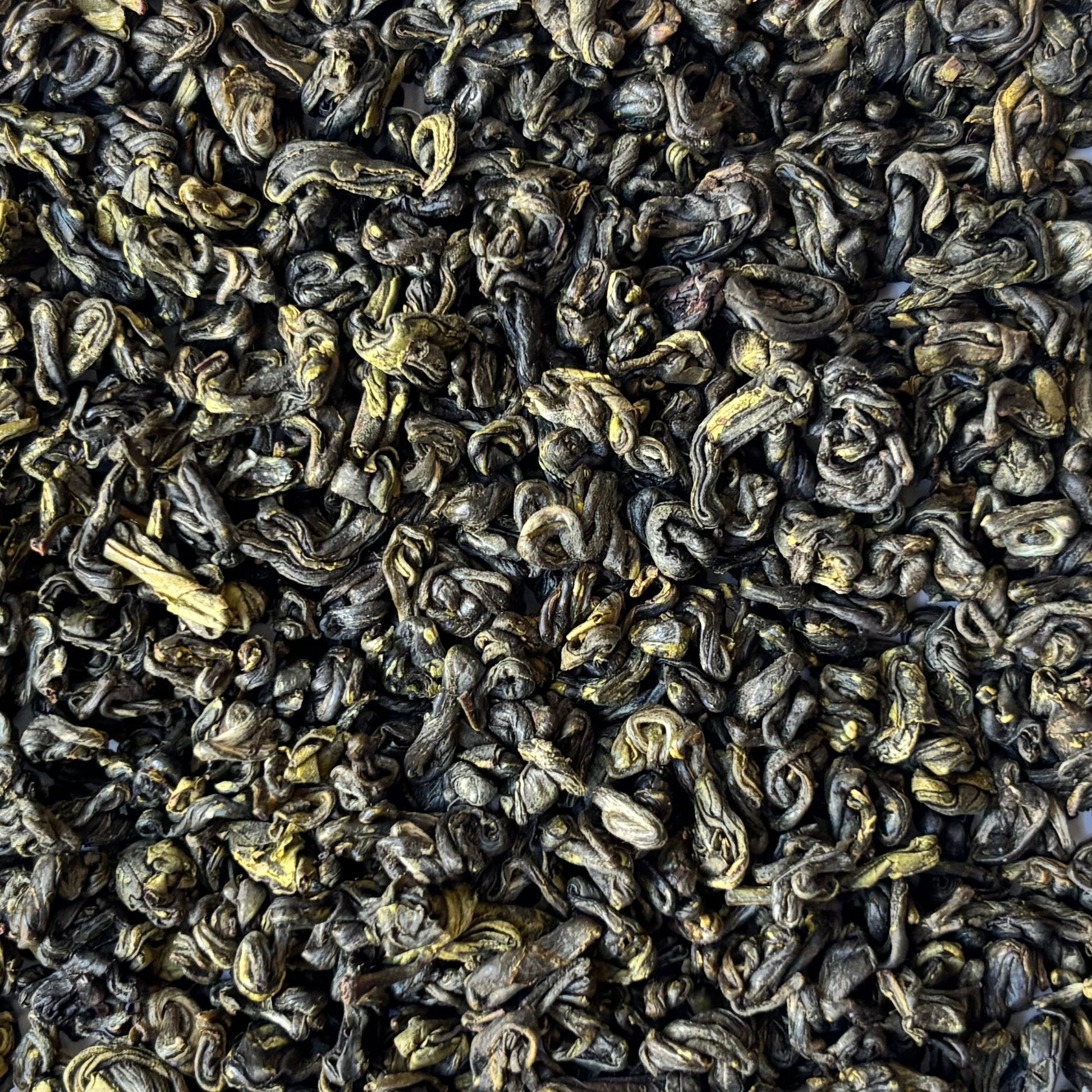 Himalayan Gunpowder Green (Green Pearl) | Wholesale-1