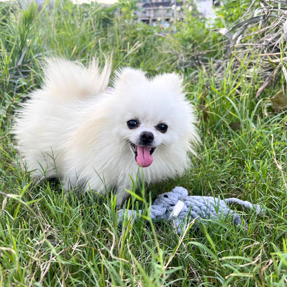 Ella the Elephant Rope Toy-2