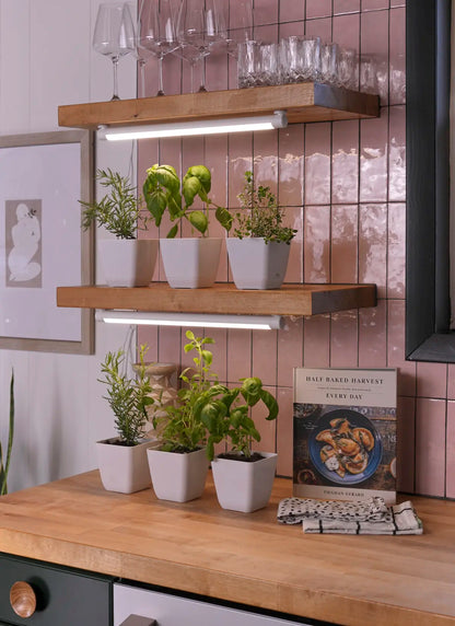 Grove Double Bundle-1