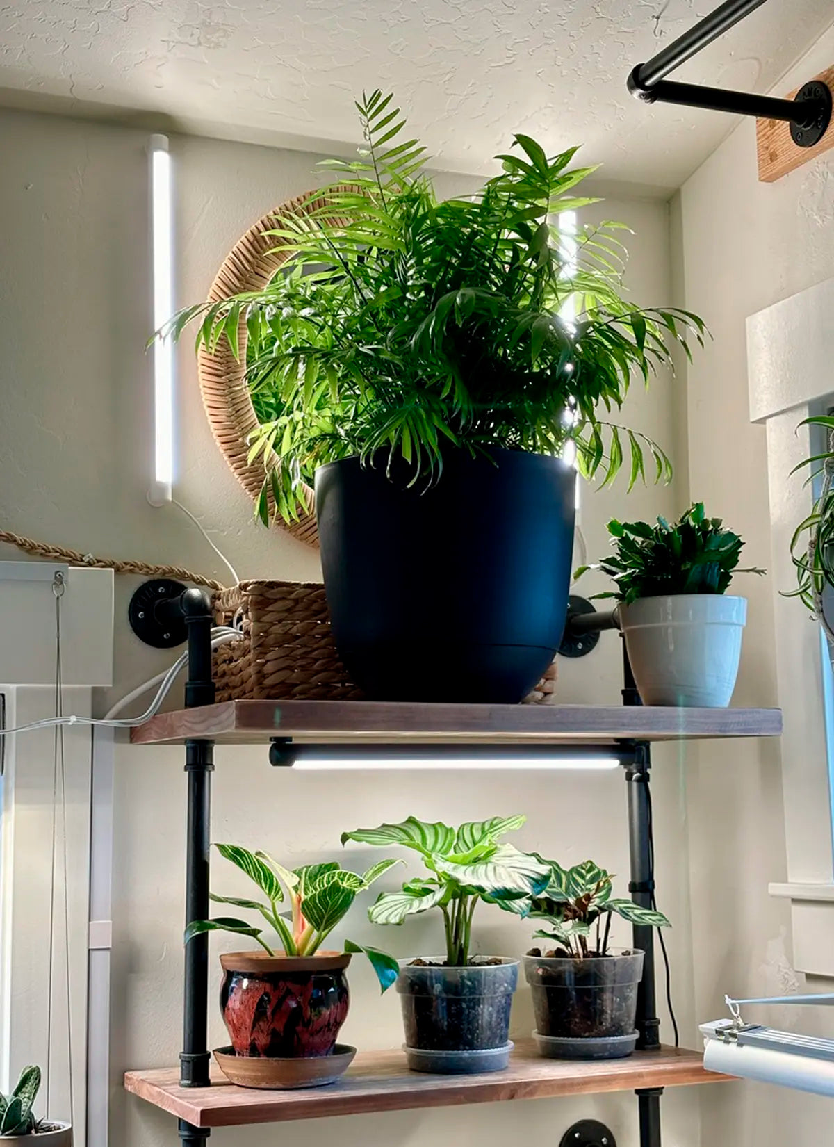 Grove Double Bundle-3