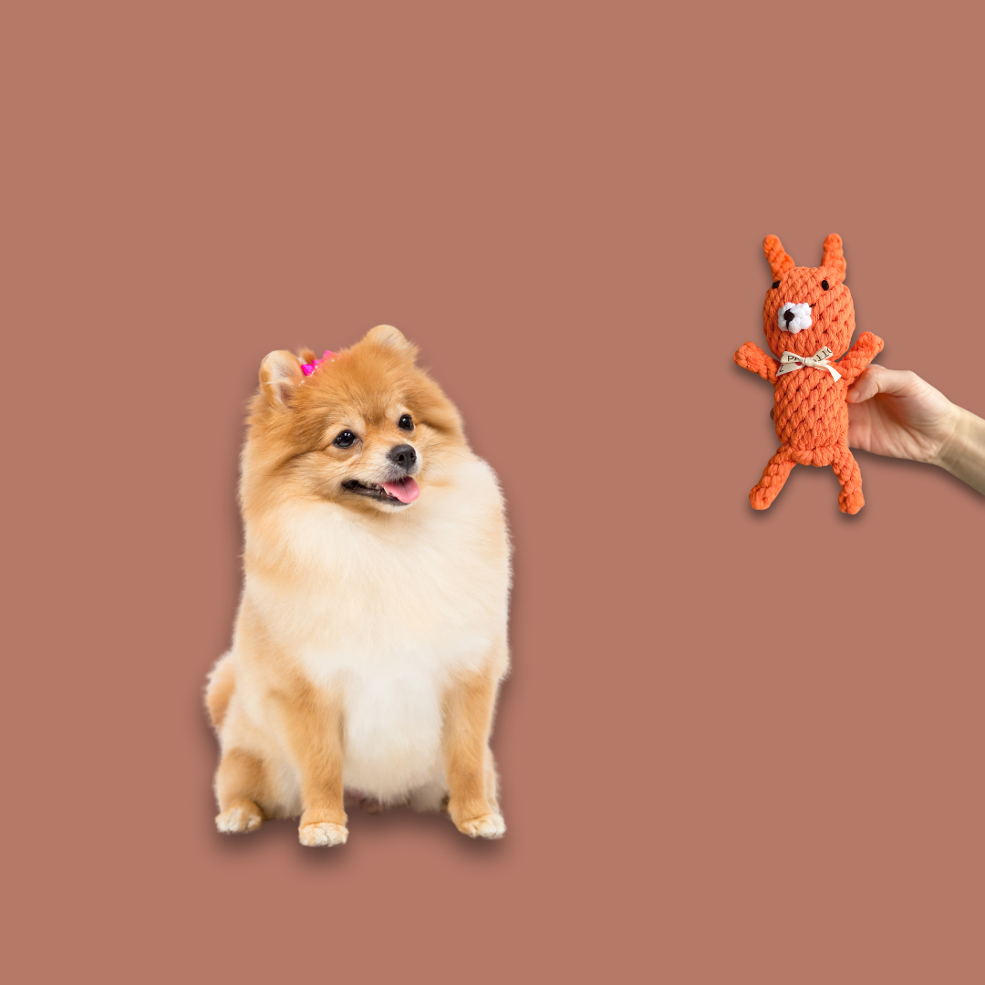 Handmade Eco-Fox Chew Rope Toys-2