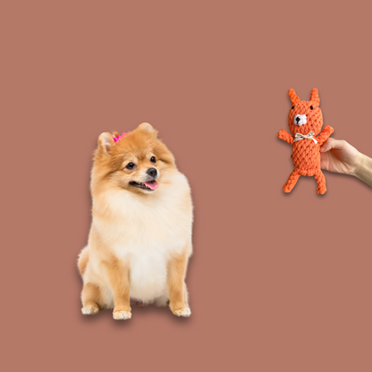 Handmade Eco-Fox Chew Rope Toys-2