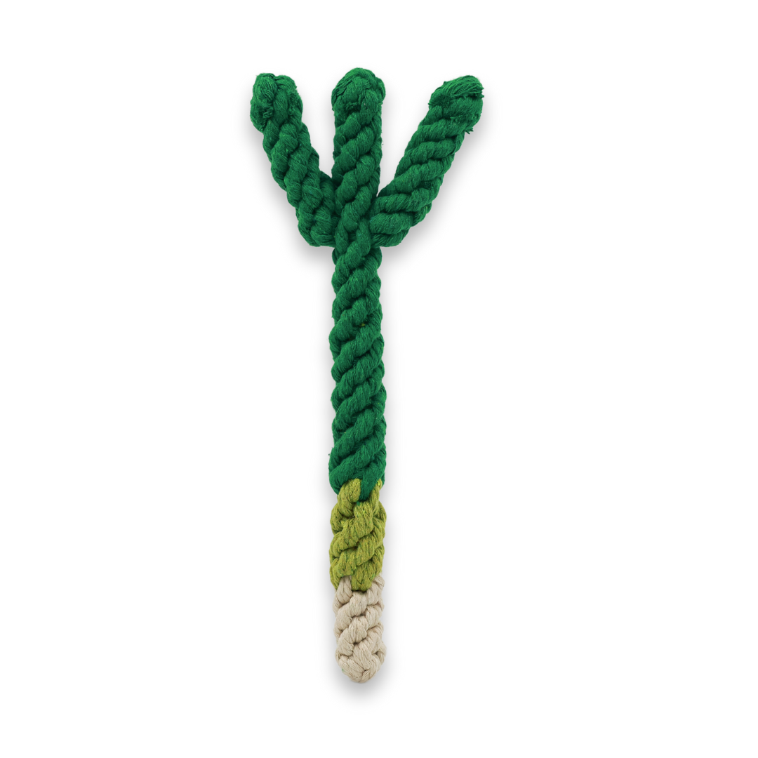 Handmade Scallion Rope Toy-0