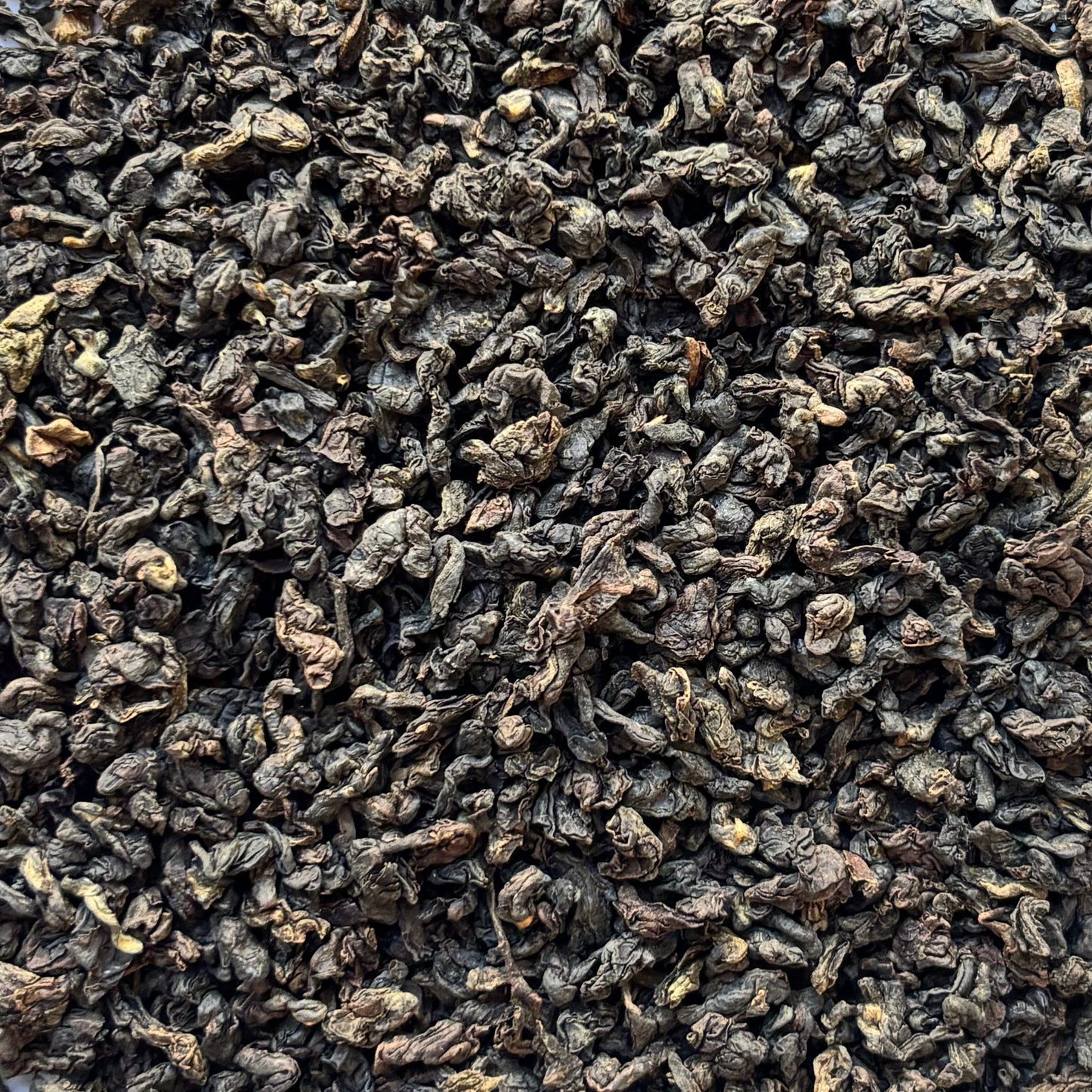 Himalayan Oolong | Wholesale-1