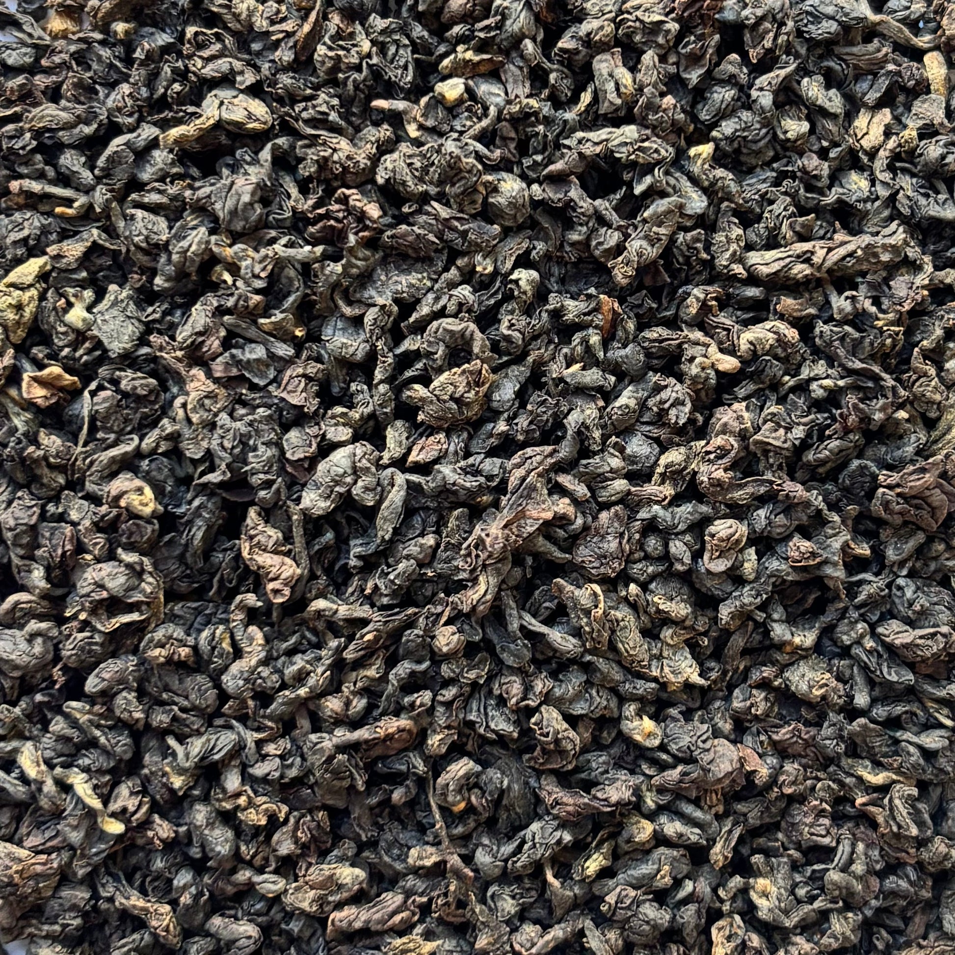 Himalayan Oolong | Wholesale-1