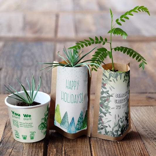 Happy Holidays Tree Gift Pack, We Plant 30 Trees-0