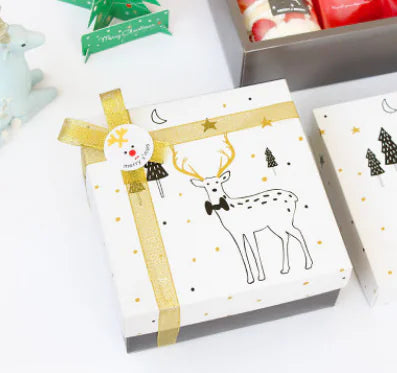 Gift Box Packaging for Christmas