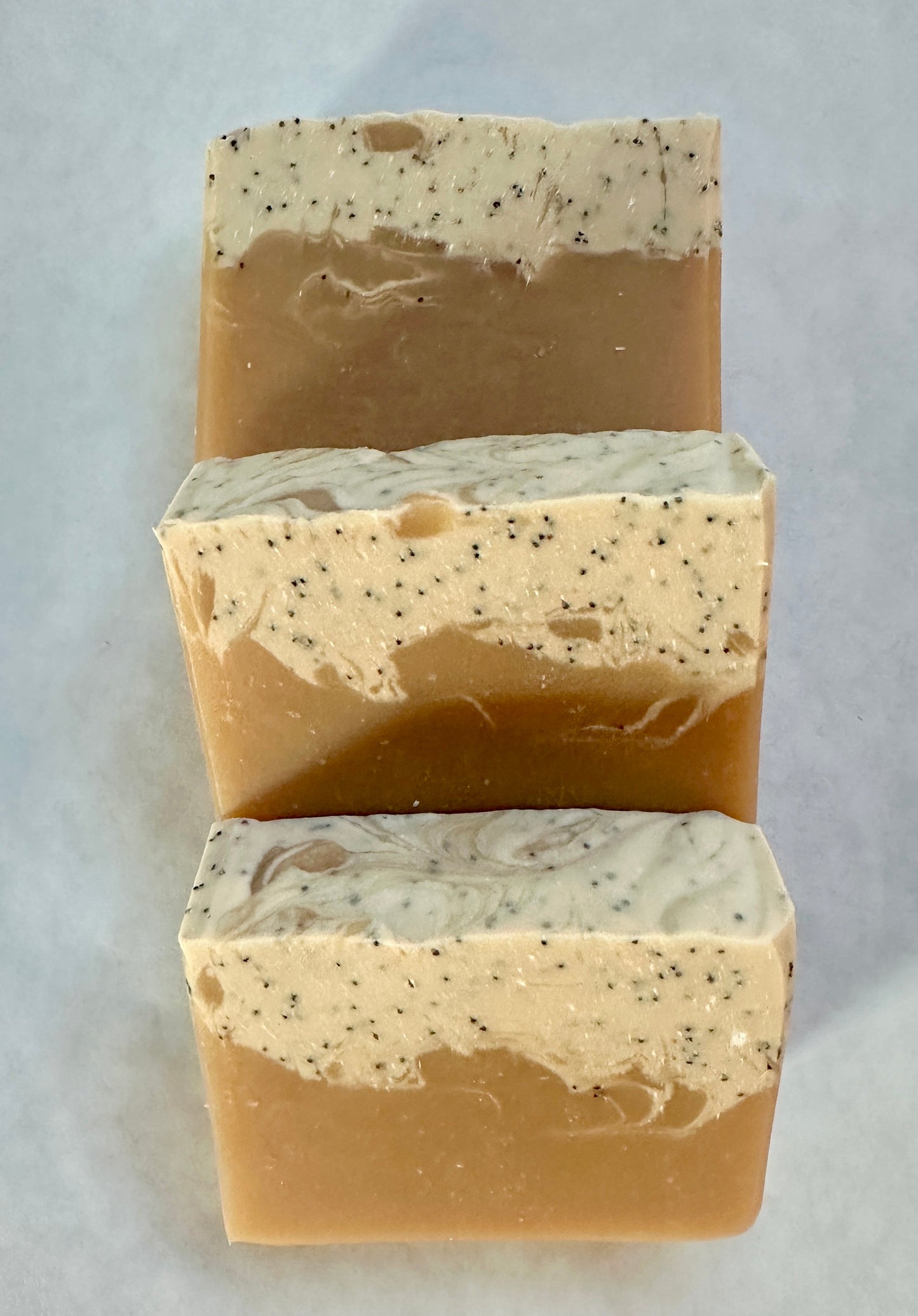 Dragonfruit & Hibiscus-2