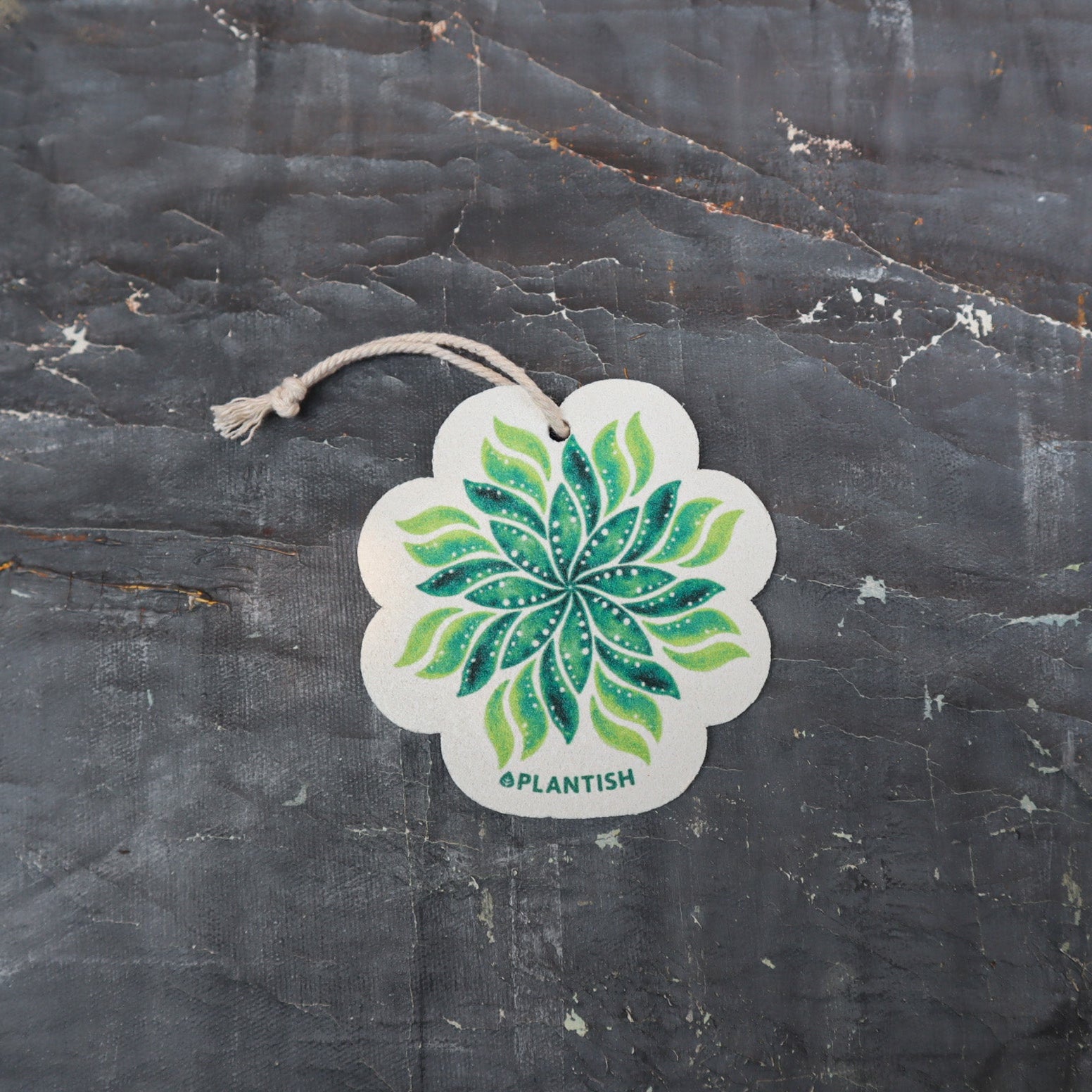 Leaf - Pop up Sponge (Holiday Exclusive)-0