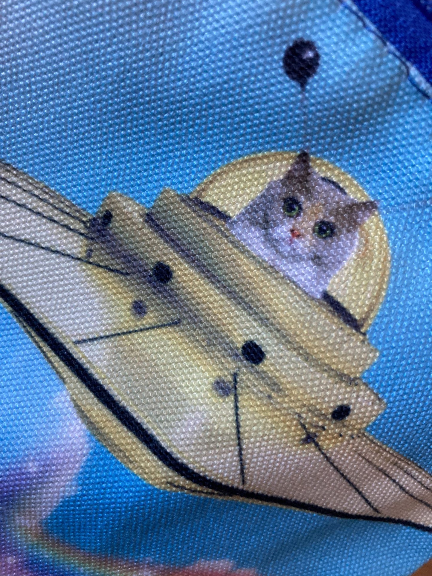 Etui - Poes in ruimteschip / Ufo-2