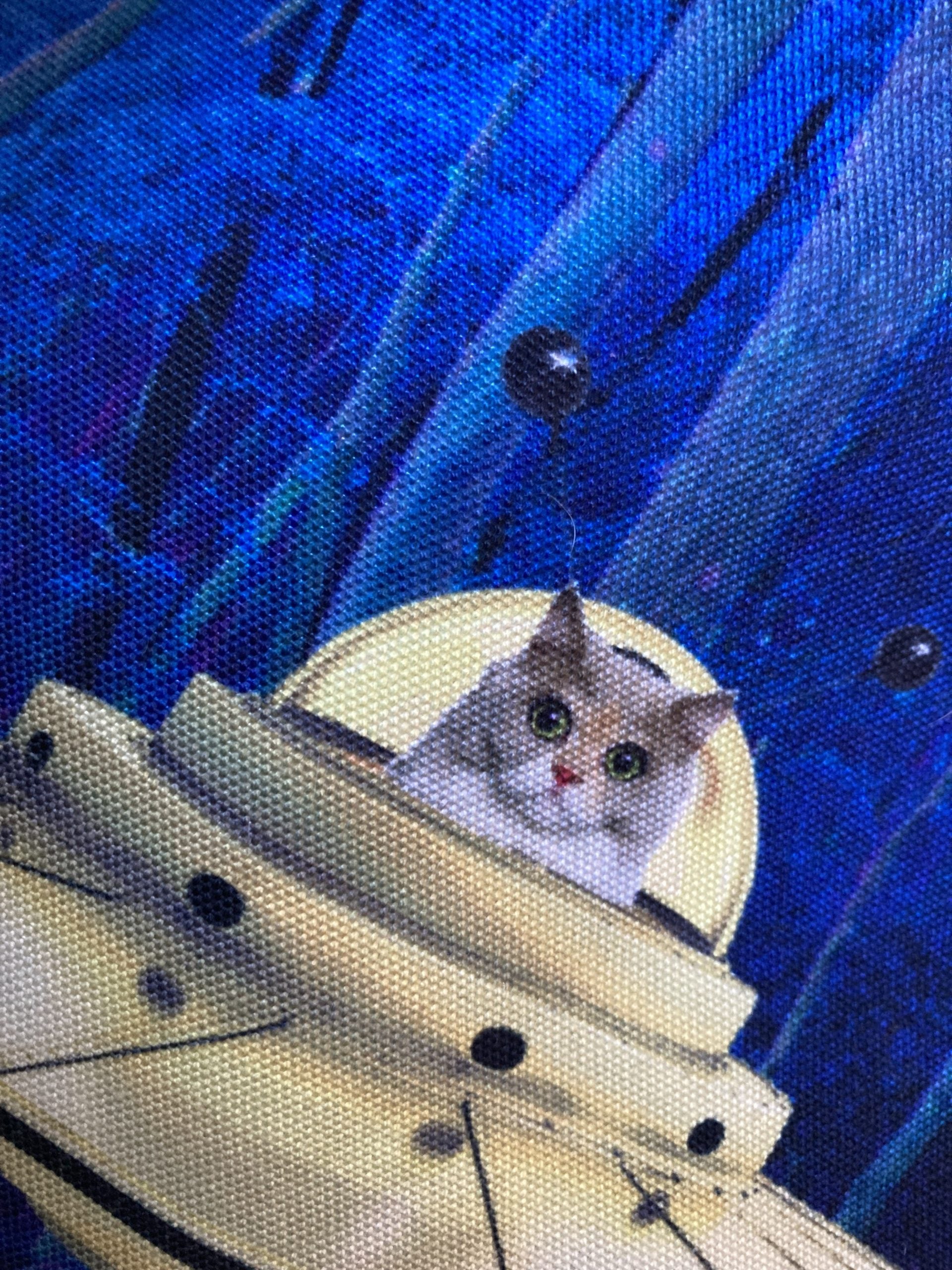 Etui - Poes in ruimteschip / Ufo-3