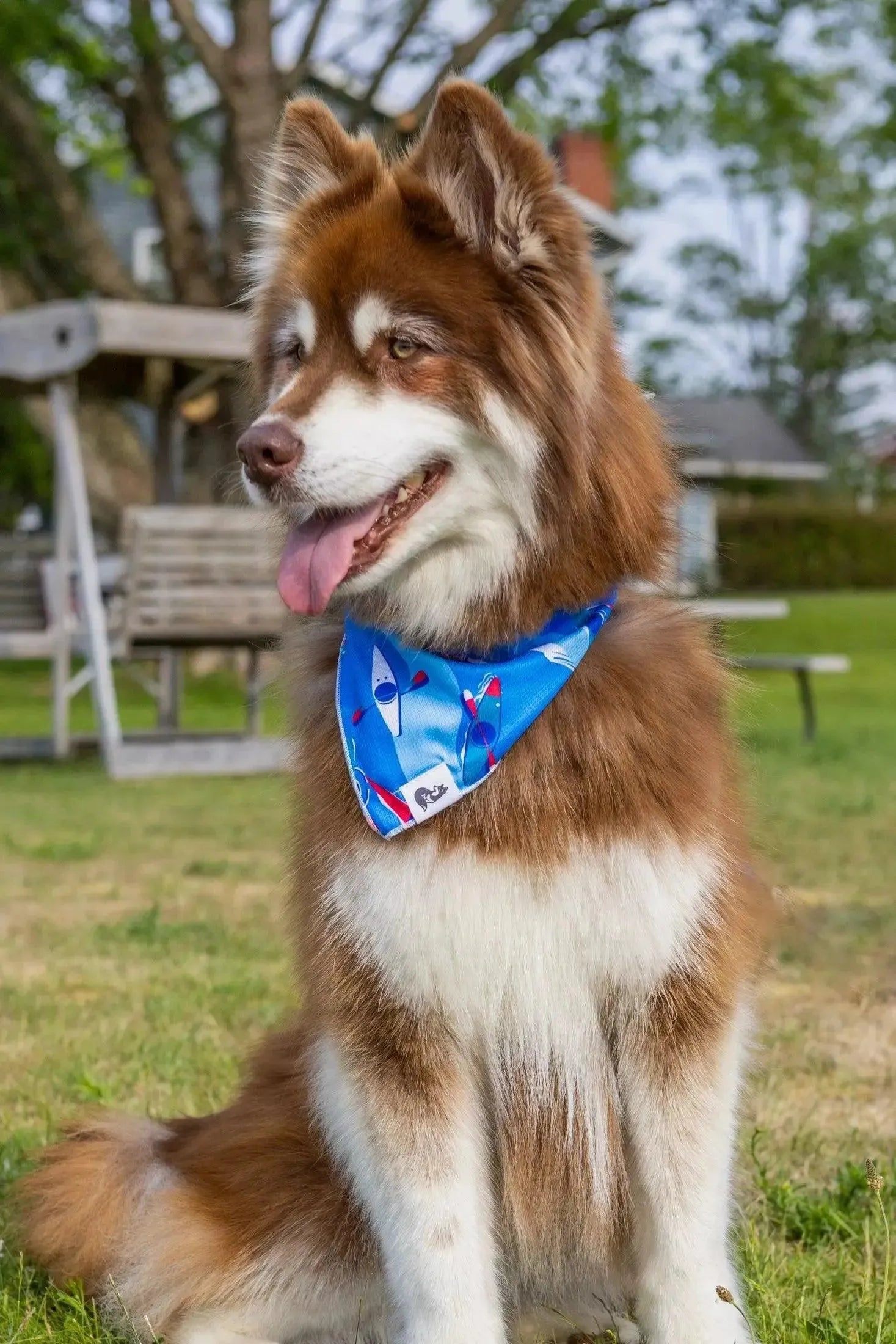 K9 Kayak Dog Bandana & Matching Keychain-2
