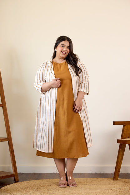 Brown Striped Jacket Dress-1