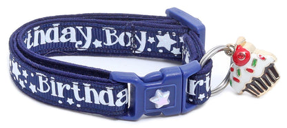 Birthday Boy Breakaway Cat Collar-23