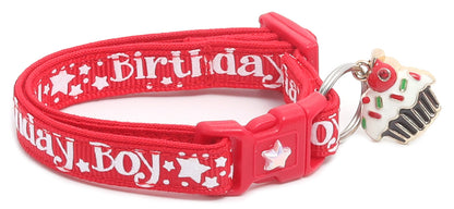 Birthday Boy Breakaway Cat Collar-22